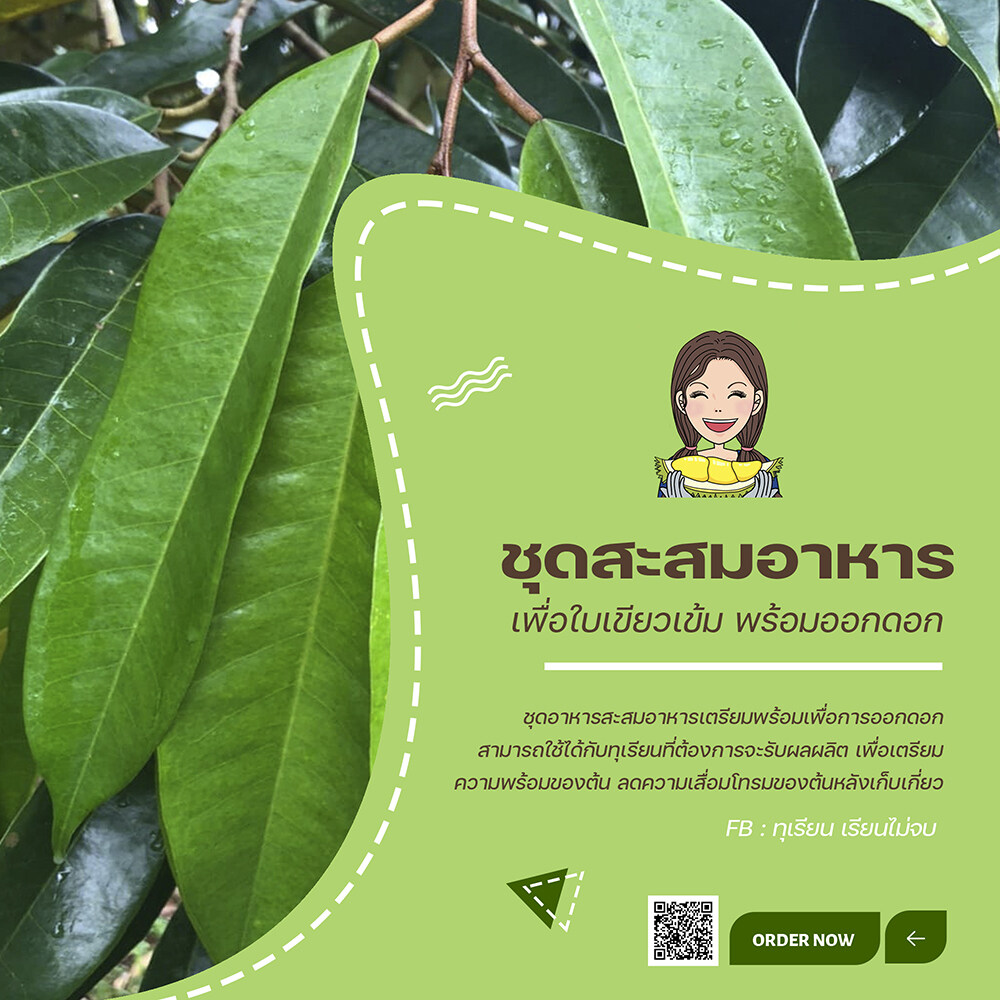 ชุดสะสมอาหารทุเรียน 3 ขวด ที-เซต 4-25-14 ที-ซิงค์