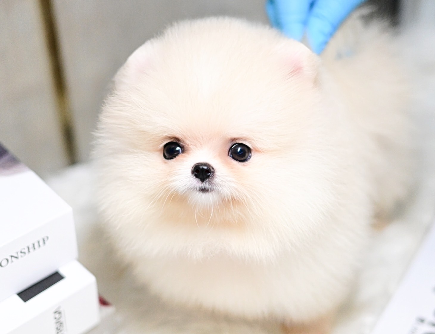 ย้ายบ้านแล้ว