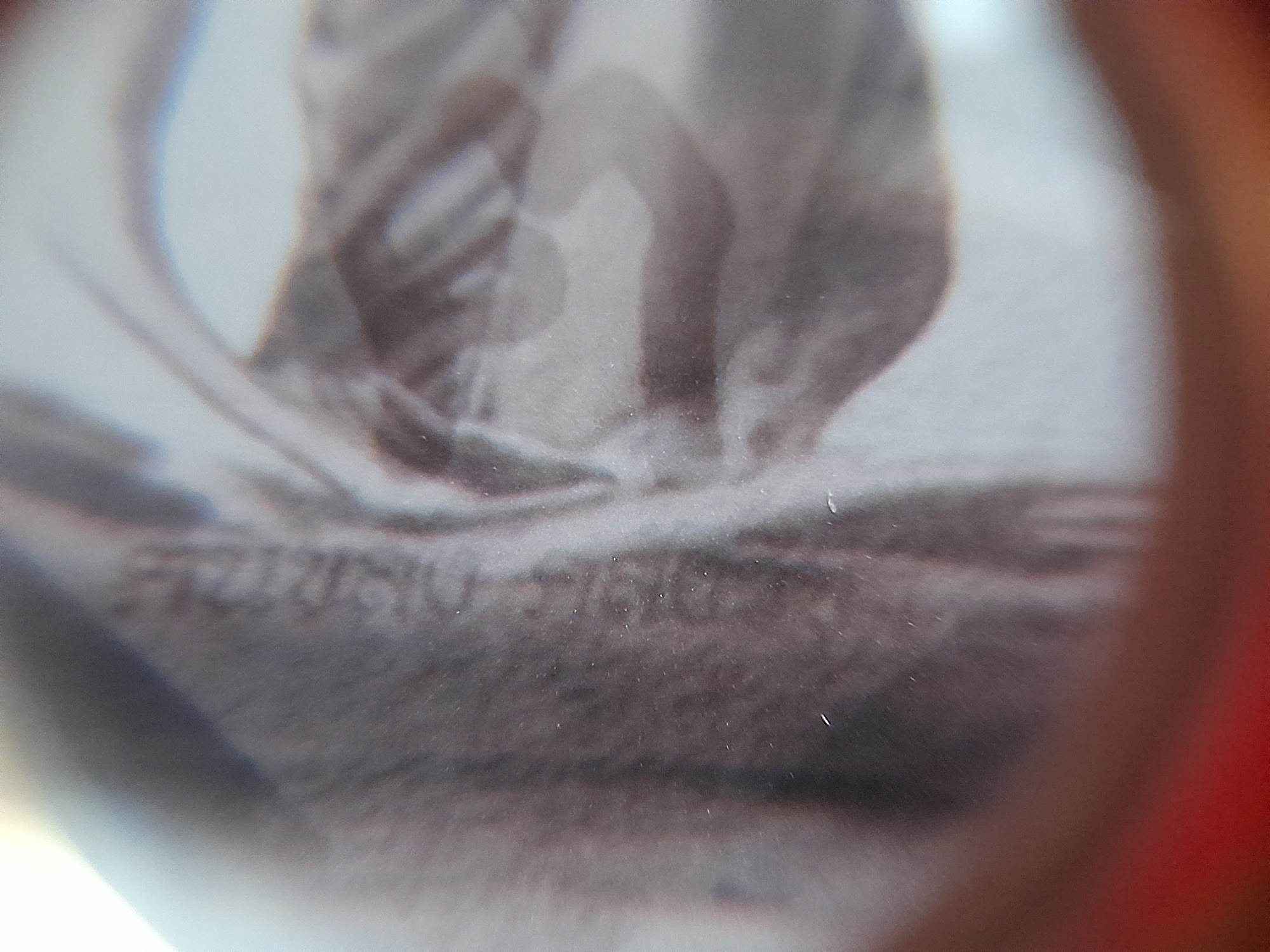 รูปภาพ หลวงปู่เดินหน อิเกสาโร(หลวงปู่เทพโลกอุดร) (ตอกโค็ด) หลังจีวร (ขนาดพกพา) ปี2563 #รับประกันแท้ - จัดสร้างโดย ฅนขลังคลังวิชา