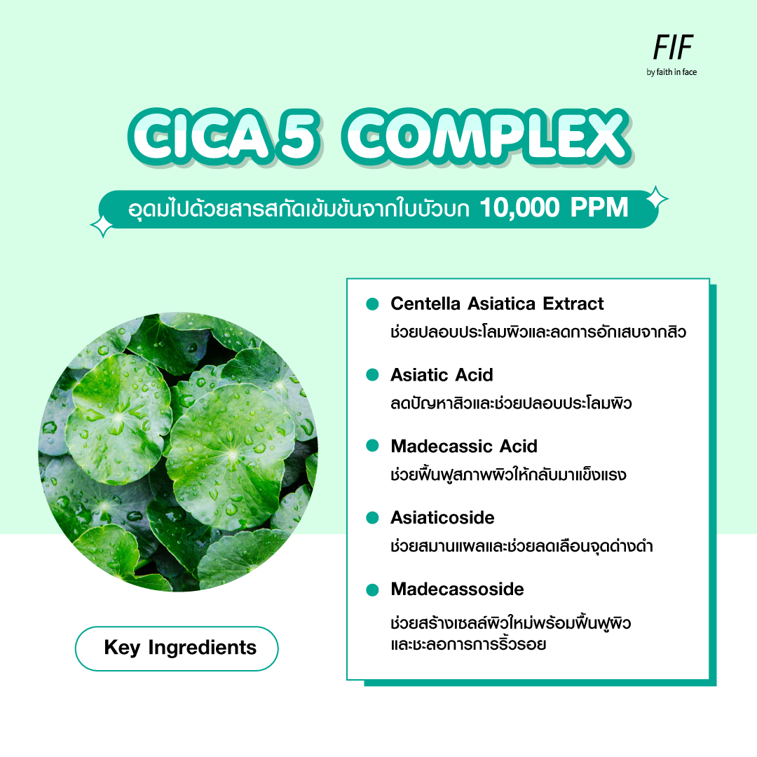 (ขวดเขียวเข้ม Cica) Faith in Face Cica5 Truly Soothing Cleansing Water 500mL คลีนซิ่งทำความสะอาดผิวหน้าสูตรน้ำ เหมาะสำหรับผิวแพ้ง่ายและมีปัญหาสิว ช่วยขจัดสิ่งสกปรกและความมันส่วนเกินซึ่งเป็นสาเหตุหลักของการเกิดสิว