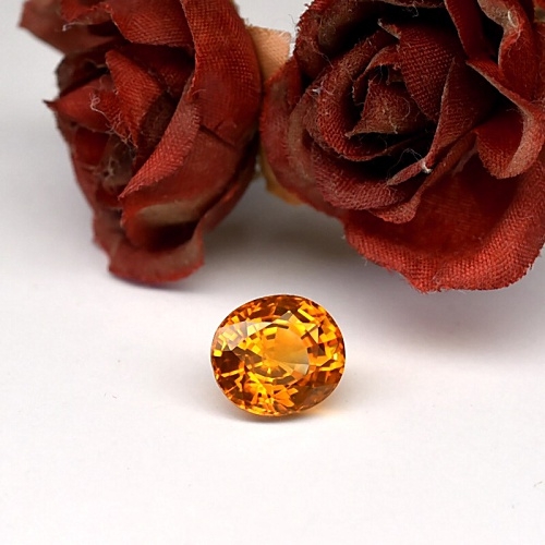 ***Rare Item Natural Ceylon Yellow Sapphire พลอยบุษราคัมซีลอน เผาเก่า รูปไข่ น้ำหนัก 8.39 กะรัต สีเหลืองส้มเกือบแม่โขง
