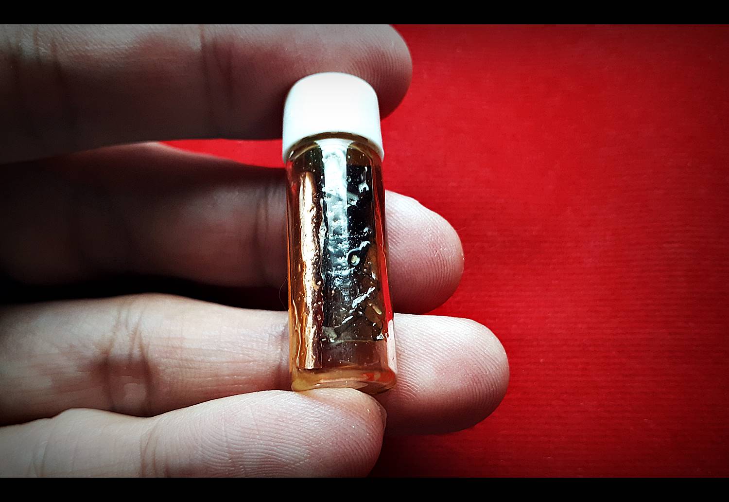 เดื่อยงูเหลื่อม - สำนักบ้านกุหลาบราชันย์ ปี2559-2560