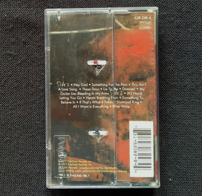 เทป Bon Jovi : These Days