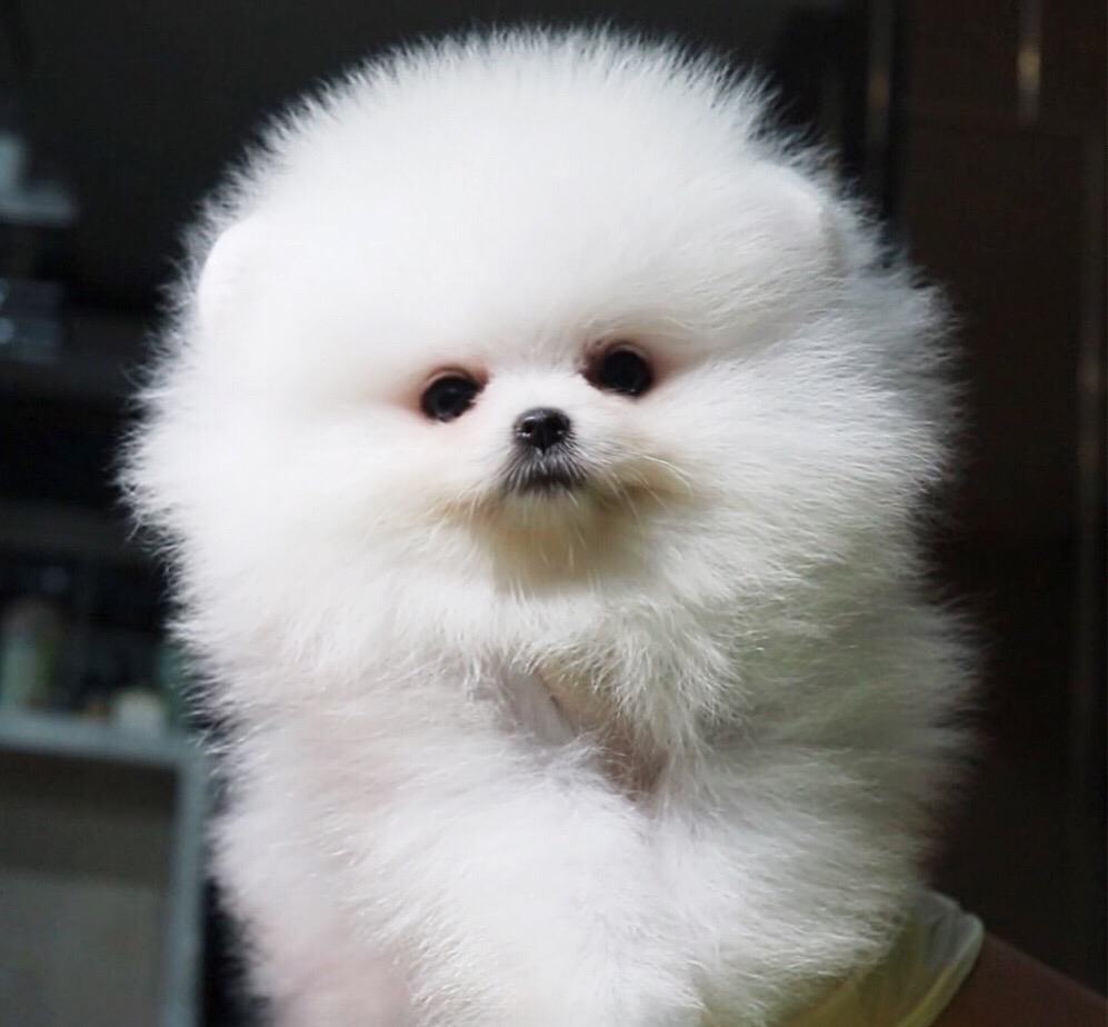 ย้ายบ้านแล้ว ผญ