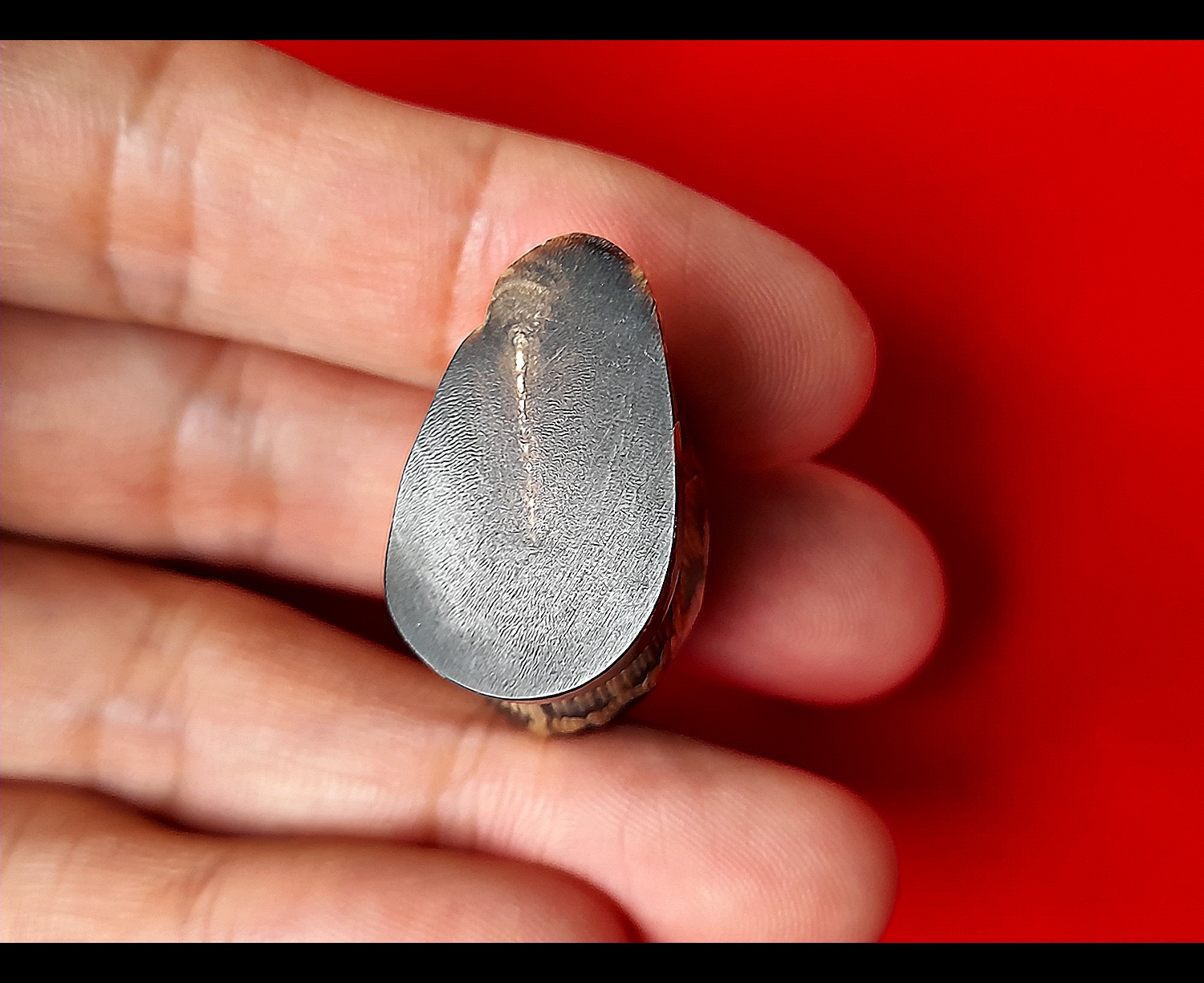 พญานกคุ้ม (แกะสลักจากเขาควายแท้) วัดโฆสิตาราม(วัดบ้านแค) จ.ชัยนาท ปี2556 - #สร้างและปลุกเสกจากวัดโฆสิตาราม #รับประกันแท้