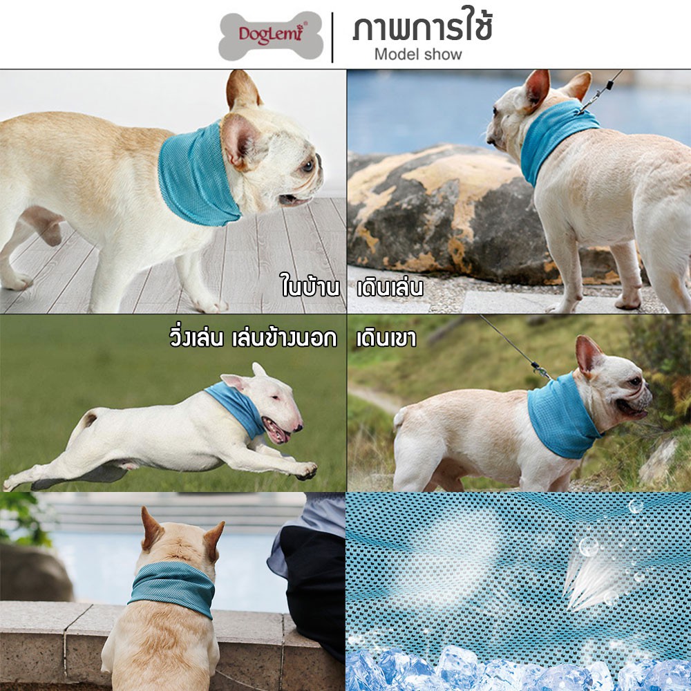C70 ปลอกคอทำความเย็น ระบายความร้อนแบบสัมผัส ปลอกคอสัตว์เลี้ยง DogCoolingBandana ป้องกันโรคลมร้อน (Heatstroke)