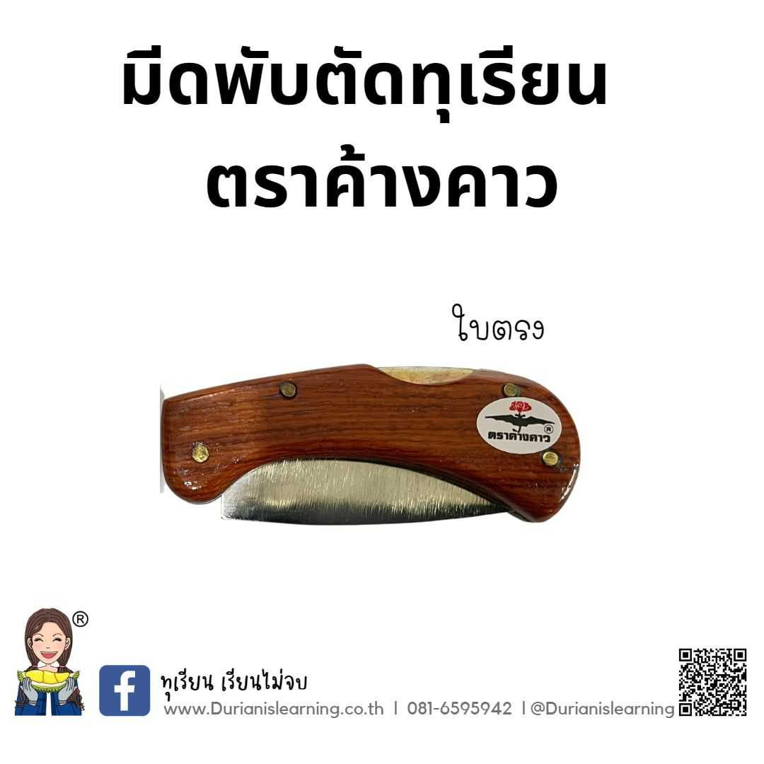 มีดพับตราค้างคาว โคง-ตรง ใบเหล็ก ด้ามไม้ เกรดอย่างดี มีดตัดทุเรียน มีดพกพา