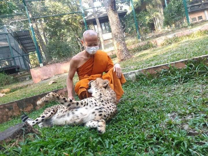 สีผึ้ง เสือ (#พิธีพยัคฆ์บารมี #เป็นเมตตาและอำนาจ) พ่อปู่ฤาษีเจ้าสมิงพรายสงเคราะห์ ปี2563 #รับประกันแท้ - หลวงพ่อเล็ก วัดท่าขนุน