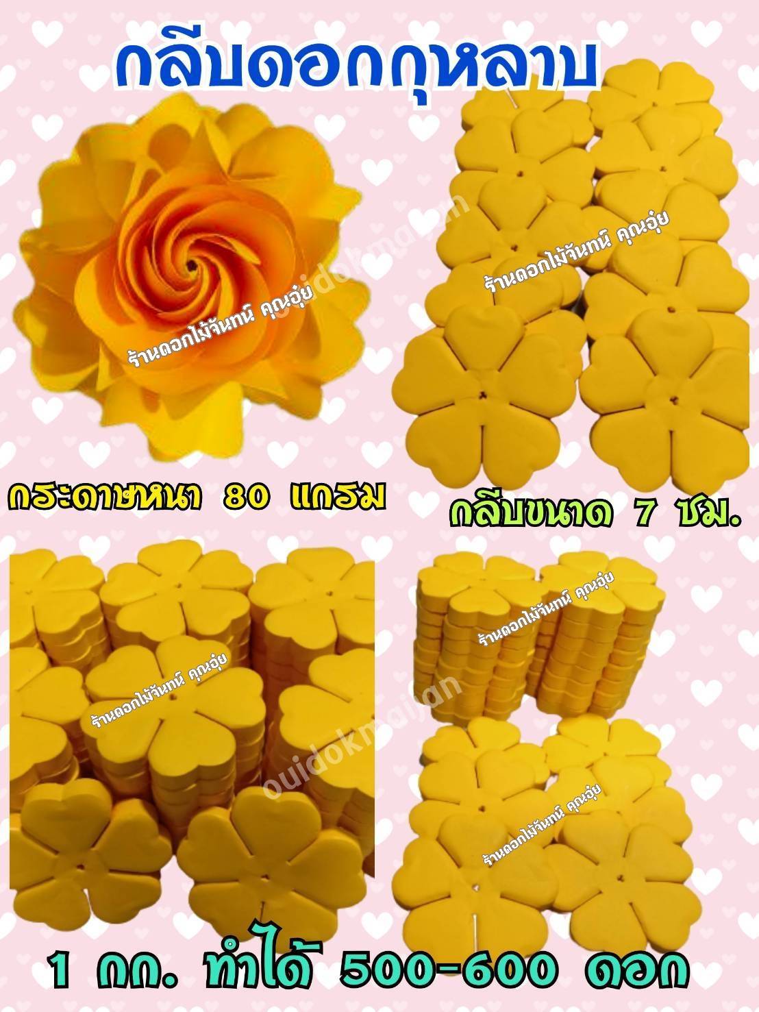 กลีบดอกไม้จันทน์กุหลาบ กลีบกุหลาบ กลีบกุหลาบสีเหลืองทอง กลีบกุหลาบเหลืองทอง กลีบกุหลาบทิพย์ ดอกไม้จัน กลีบดอกไม้จันทน์กุหลาบสีเหลืองทอง