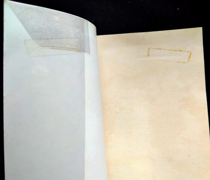 สนิมสร้อย