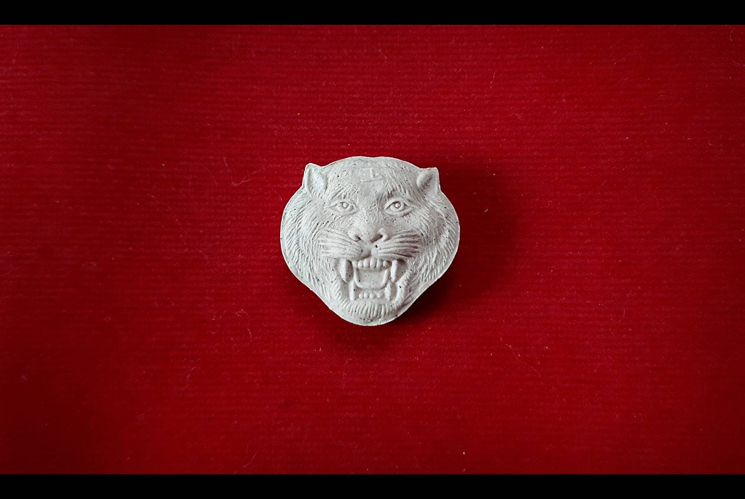 เสือ (#กันชง #มหาอำนาจ) (เนื้อผง รวมมวลสารต่างๆ ที่เกี่ยวกับเสือ) รุ่น1 ปี2561 #รับประกันแท้ - หลวงพ่อเล็ก วัดท่าขนุน เมตตาช่วยปลุกเสกเดี่ยว