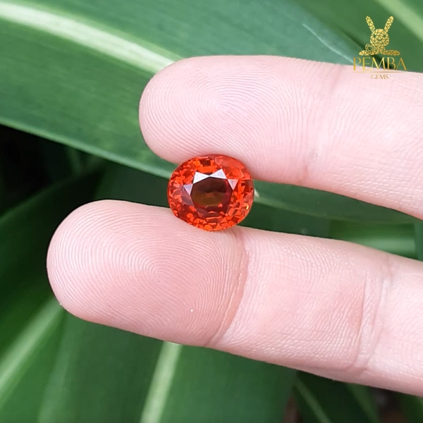 ขายพลอยสเปสซาไทต์ การ์เนต สีส้ม ไซส์โต 8.99 ct เลขกะรัตสวยเป็นมงคล หายากสุดๆ