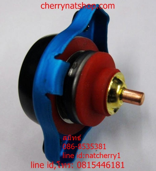 ผาหม้อน้ำพร้อมเกจ์วัดอุณหภูมิ 1.1bar