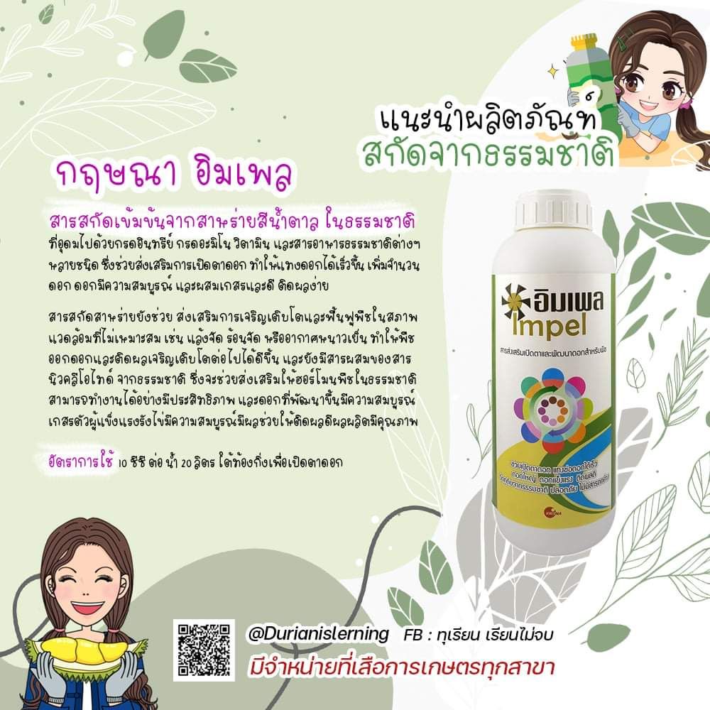 อิมเพล สาหร่ายสูตรเปิดตาดอก ใช้ในการเปิดตาดอกทุเรียน