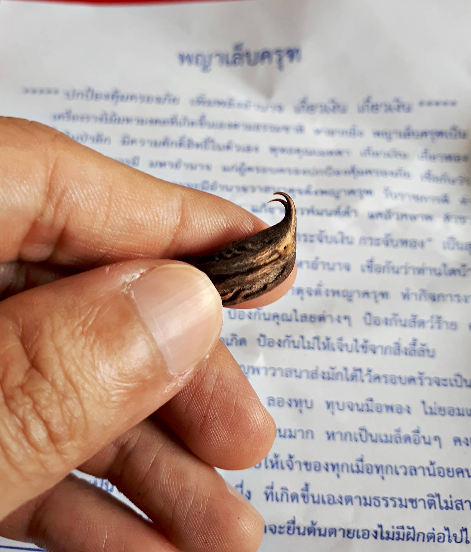 เล็บครุฑ วัตถุมงคลเครื่องราง