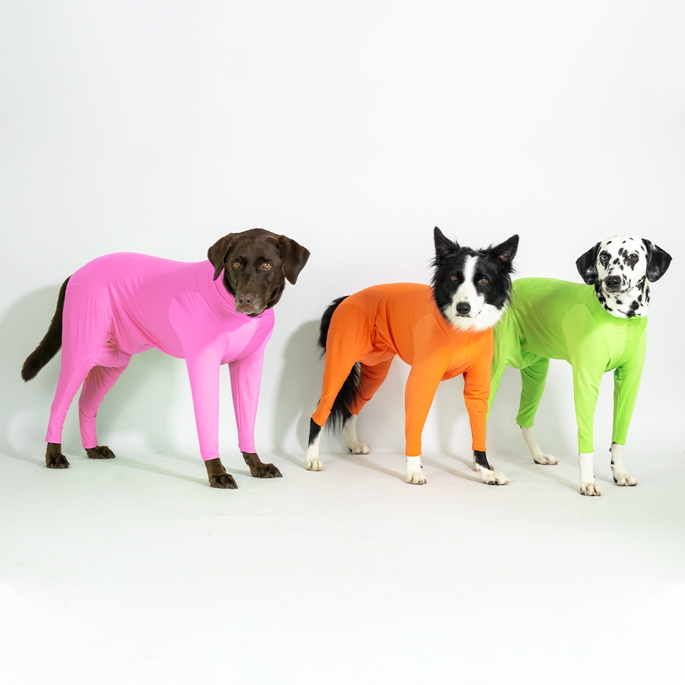 CH1 Neon series สีนีออน CHUBBIESชุดกันขนร่วงสัตวเลี้ยง เสื้อสุนัขในบ้าน ในรถ ชุดกันขนร่วงหมา ป้องกันเลียแผล