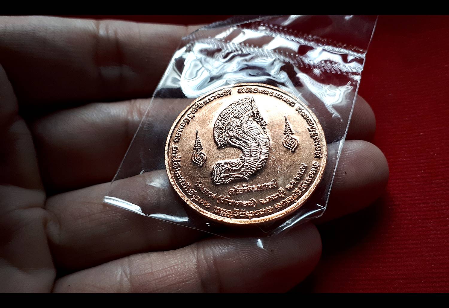 เหรียญพระนารายณ์ทรงครุฑ วัดเขาวง(ถ้ำนารายณ์) จ.สระบุรี ปี2549 - (ด้านหน้าพระนารายณ์ทรงครุฑ ด้านหลังพญานาค)