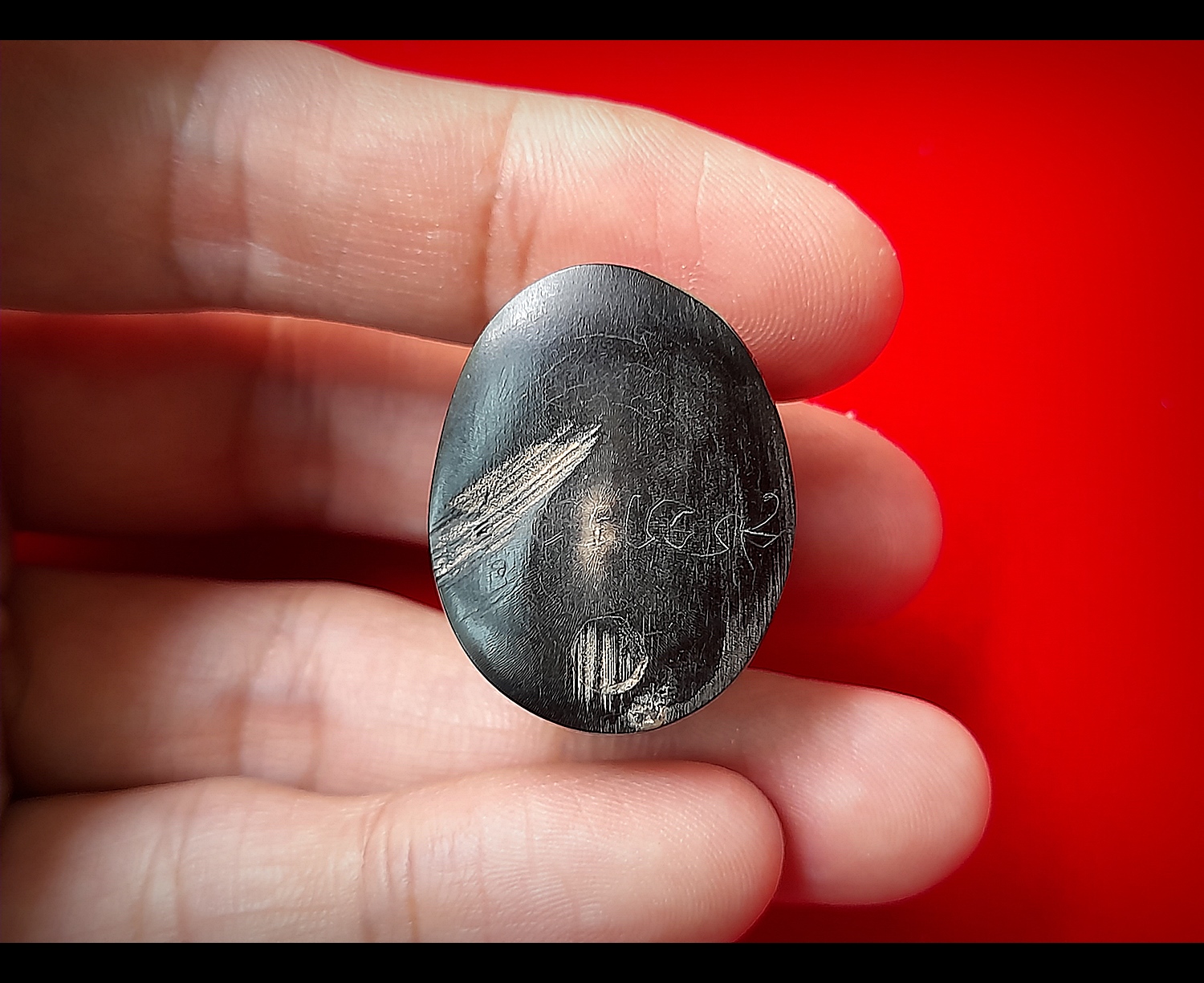 เสือ เขาควาย ตัวใหญ่(แกะสลักจากเขาควายแท้ บรรจุอุดกริ่งในตัวเสือ) - หลวงพ่อกวย วัดโฆสิตาราม(วัดบ้านแค) จ.ชัยนาท ปี2561 - #สร้างและปลุกเสกจากวัดโฆสิตาราม #รับประกันแท้