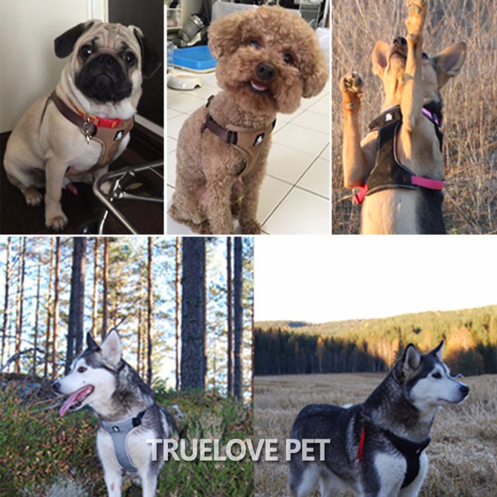 C76 TRUELOVE TH Pet Harness:ปลอกคอรัดอกสุนัข ป้องกันอันตรายจากการกระชาก ฮาเนสสุนัขหมาแบบรัดอกสุนัข ปลอกคอสุนัข