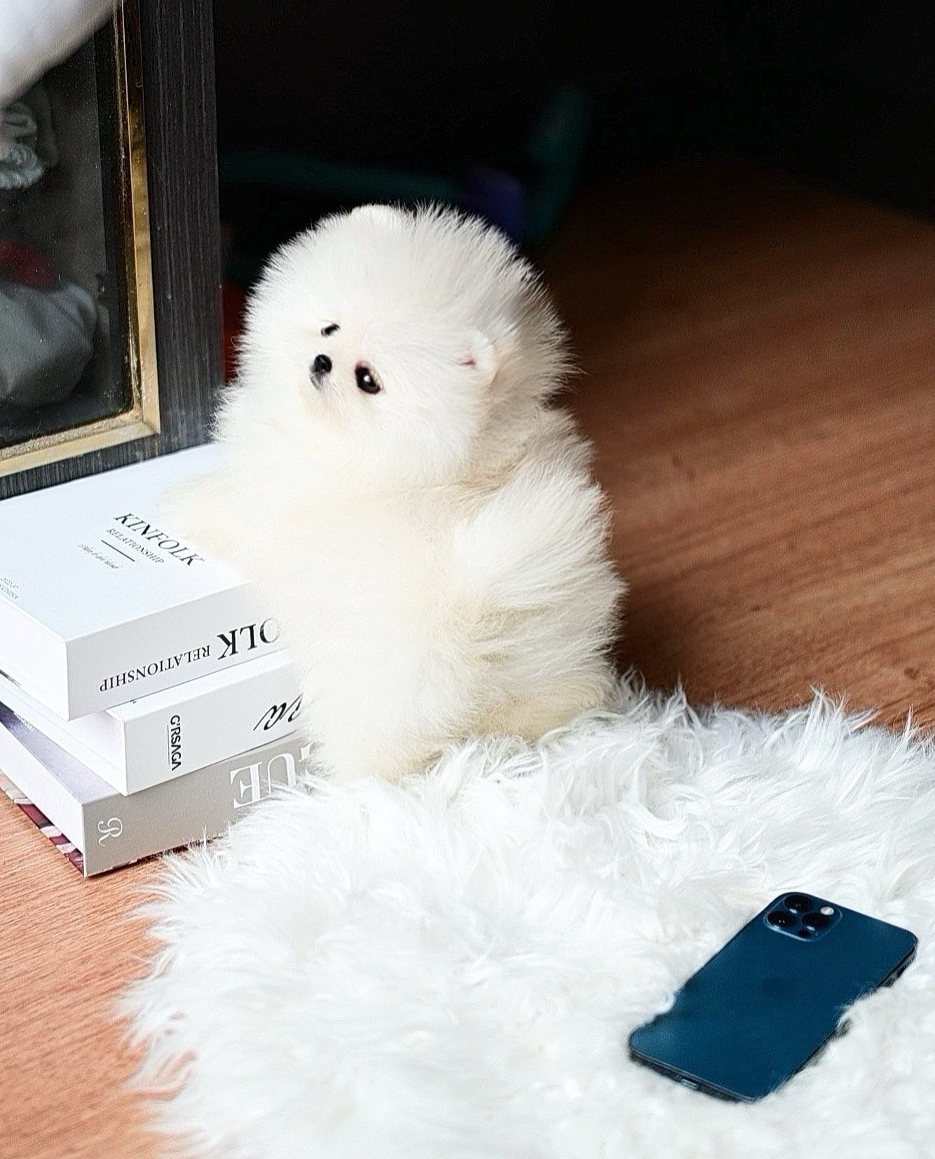 ย้ายบ้านแล้ว
