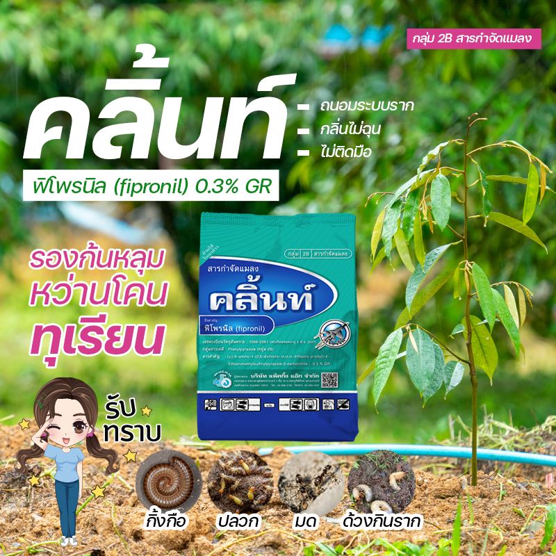 คลิ้นท์ ยาหว่าน ยาโรยโคน รองก้นหลุม ฟิโพรนิล (fipronil) 0.3% GR (1,000 กรัม) ใช้แทนฟูราดาน
