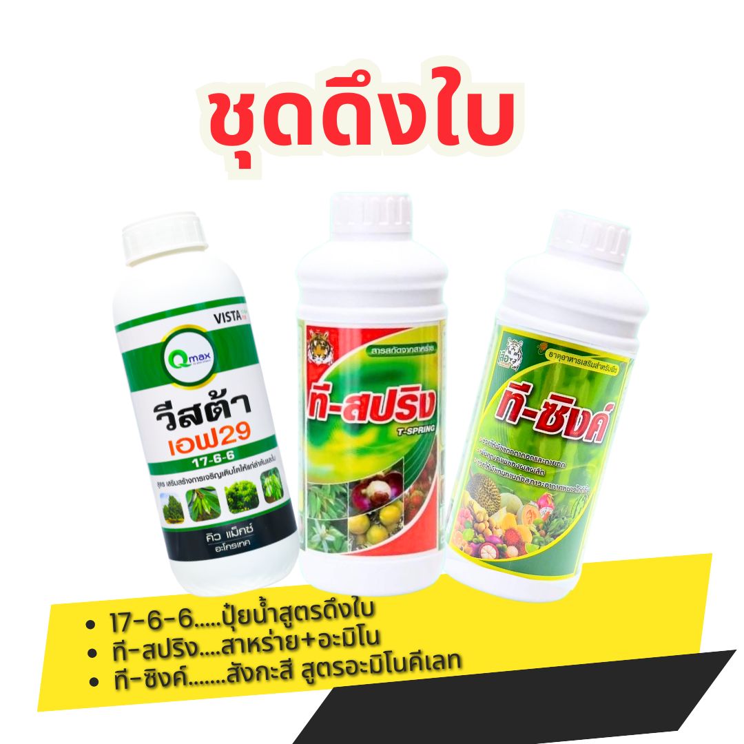 ชุดดึงใบ ใบยาว ใบใหญ่ ฟื้นต้นหลังตัด ชุดบำรุง ทุเรียนเล็ก 1 ชุด มี3 ขวด
