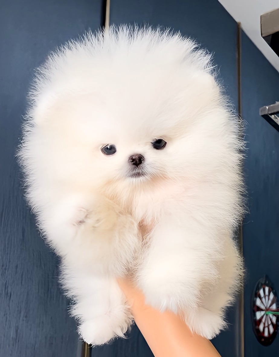 ย้ายบ้านแล้ว