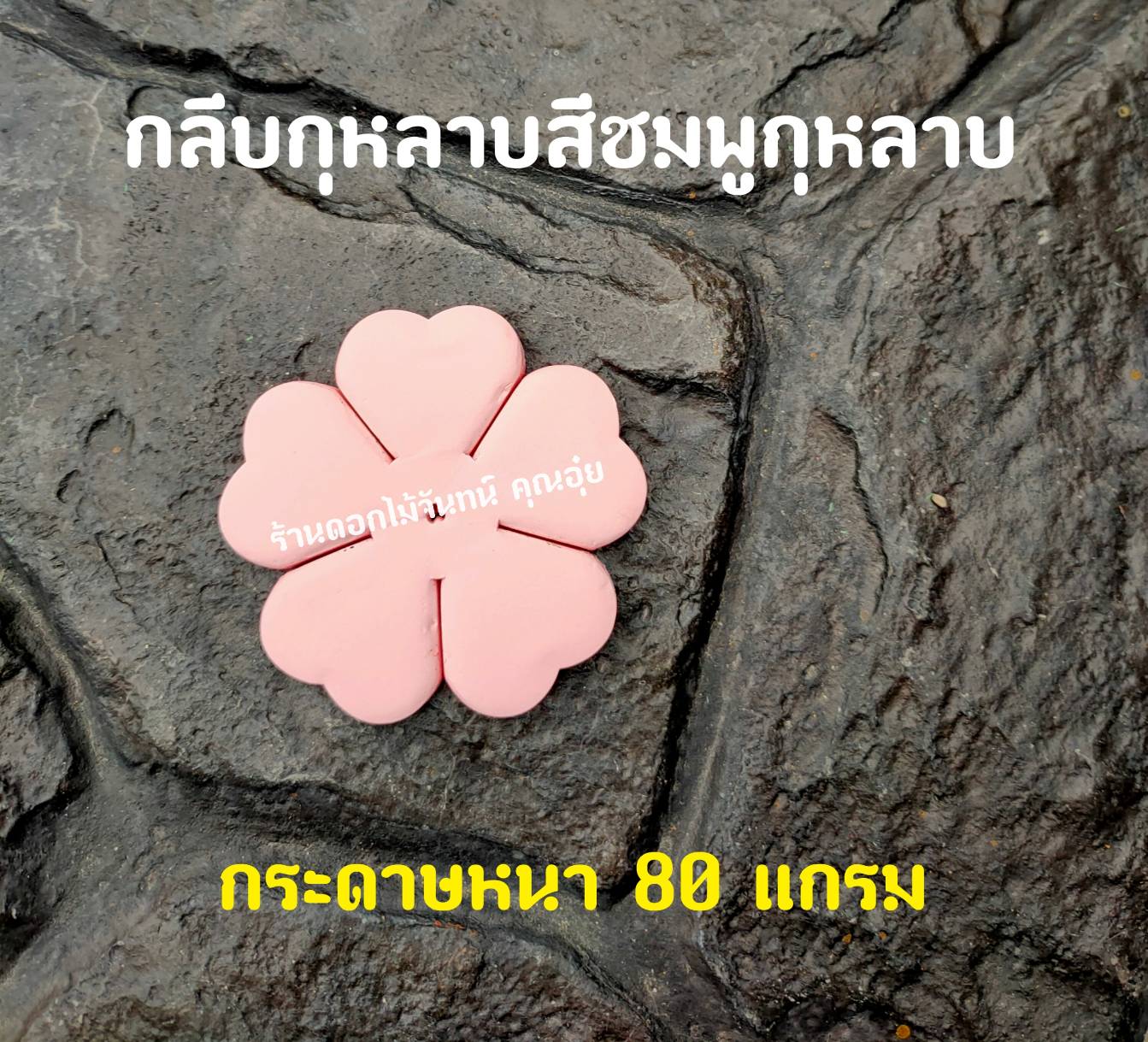 กลีบดอกไม้จันทน์กุหลาบ กลีบกุหลาบ กลีบกุหลาบสีชมพูกุหลาบ กลีบกุหลาบชมพูกุหลาบ กลีบกุหลาบทิพย์ ดอกไม้จัน กลีบดอกไม้จันทน์กุหลาบสีชมพูกุหลาบ