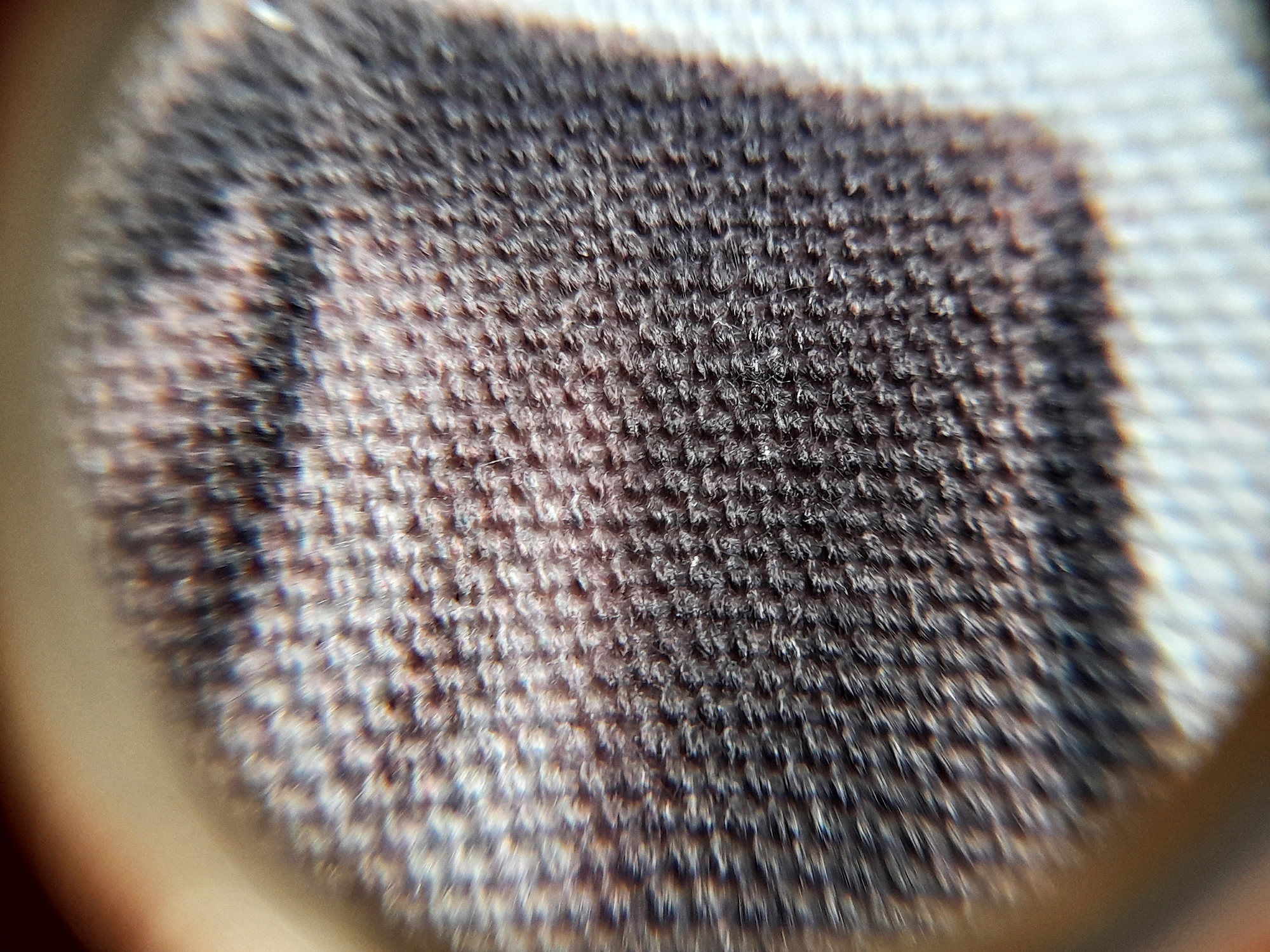 ผ้ายันต์ รูปหลวงปู่เดินหน อิเกสาโร(หลวงปู่เทพโลกอุดร) ปี2562 (แถมสายสิญจน์หลวงปู่เดินหน) #รับประกันแท้ - (จัดสร้างโดย ฅนขลังคลังวิชา)