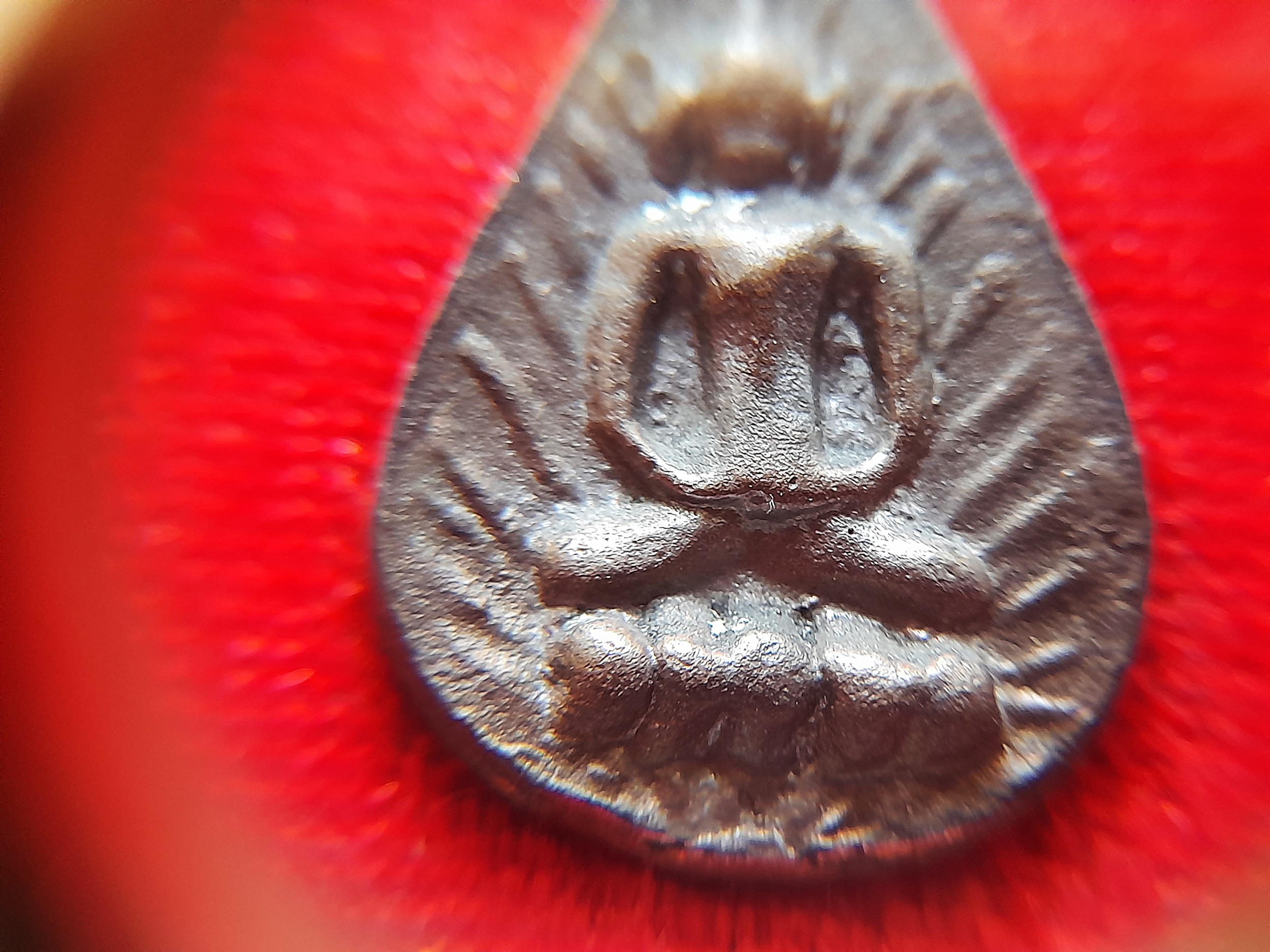 เหรียญ พิมพ์ทรงหยดน้ำ ย้อนยุค เนื้อโลหะผสม แร่สื่อในดง วัดปราสาท ปี2536 #รับประกันแท้ (หลวงพ่อชาญณรงค์ ท่านเคย แนะนำให้บูชาเก็บไว้)