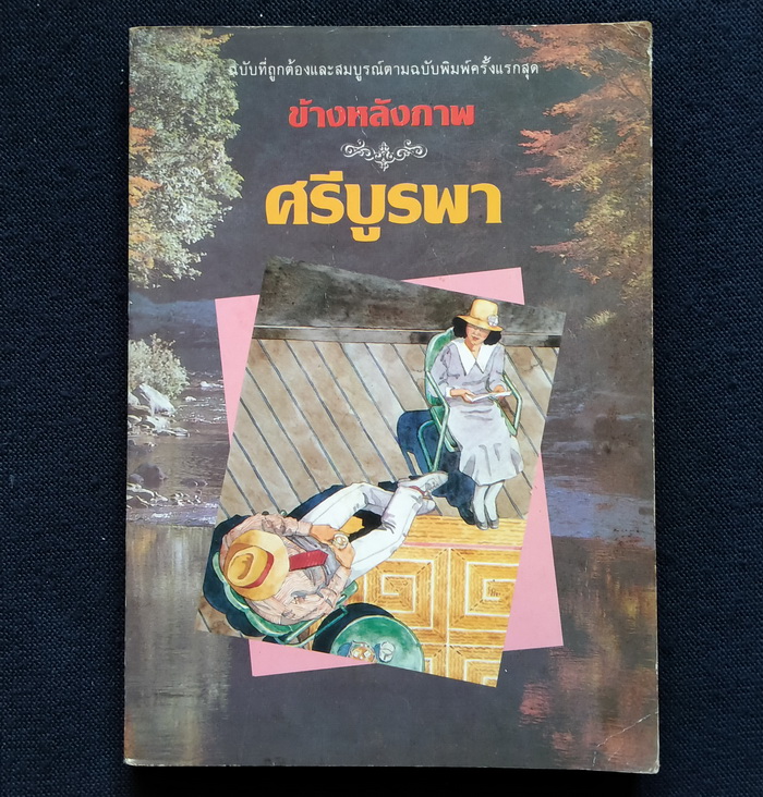 ข้างหลังภาพ