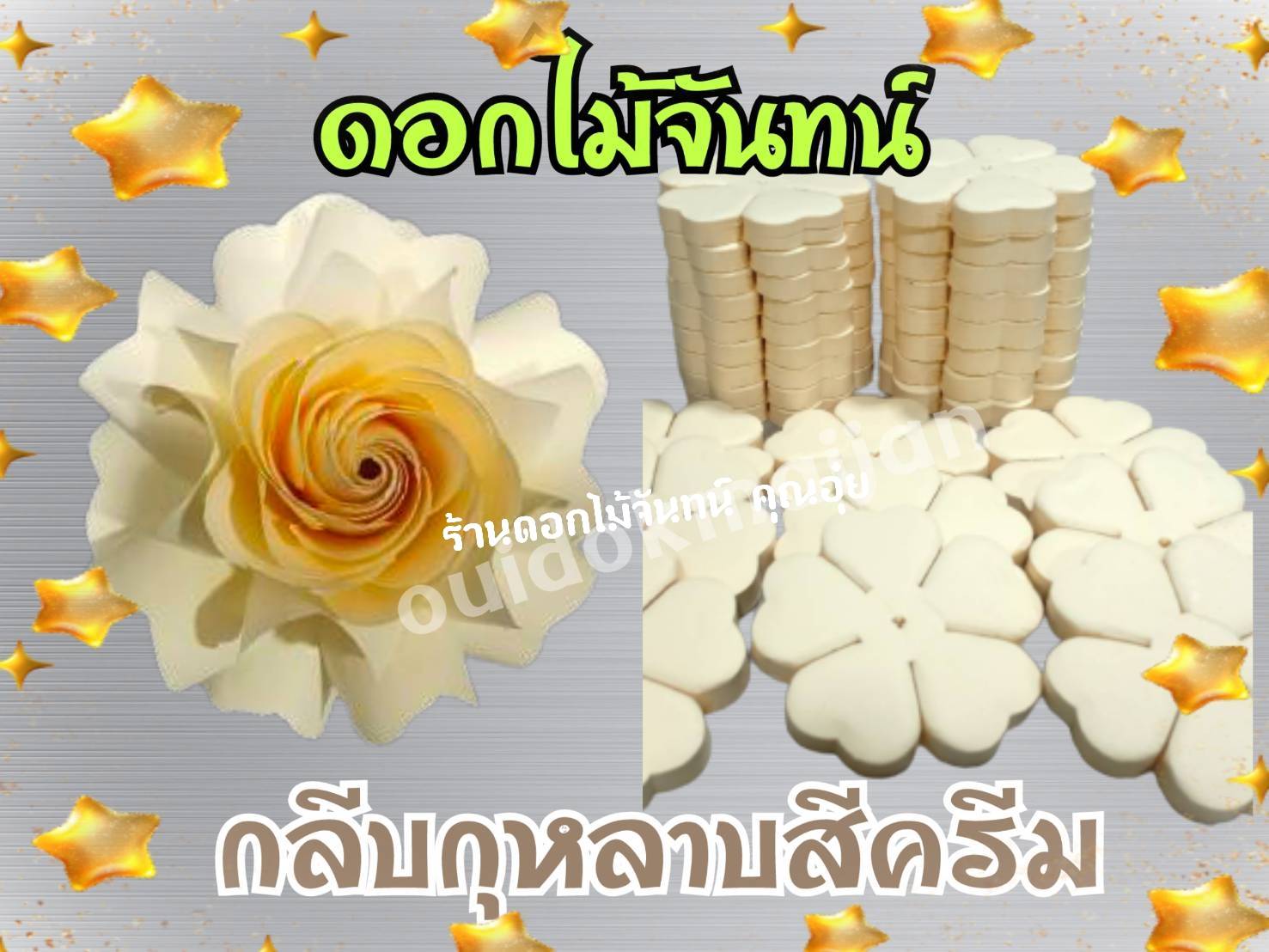 กลีบดอกไม้จันทน์กุหลาบ กลีบกุหลาบ กลีบกุหลาบสีครีม กลีบกุหลาบครีม กลีบกุหลาบทิพย์ ดอกไม้จัน กลีบดอกไม้จันทน์กุหลาบสีครีม