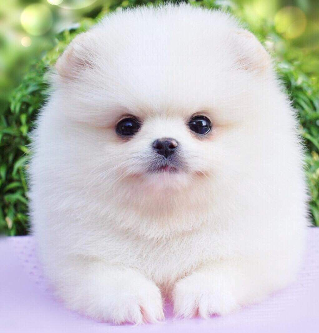 ย้ายบ้านแล้ว ผช