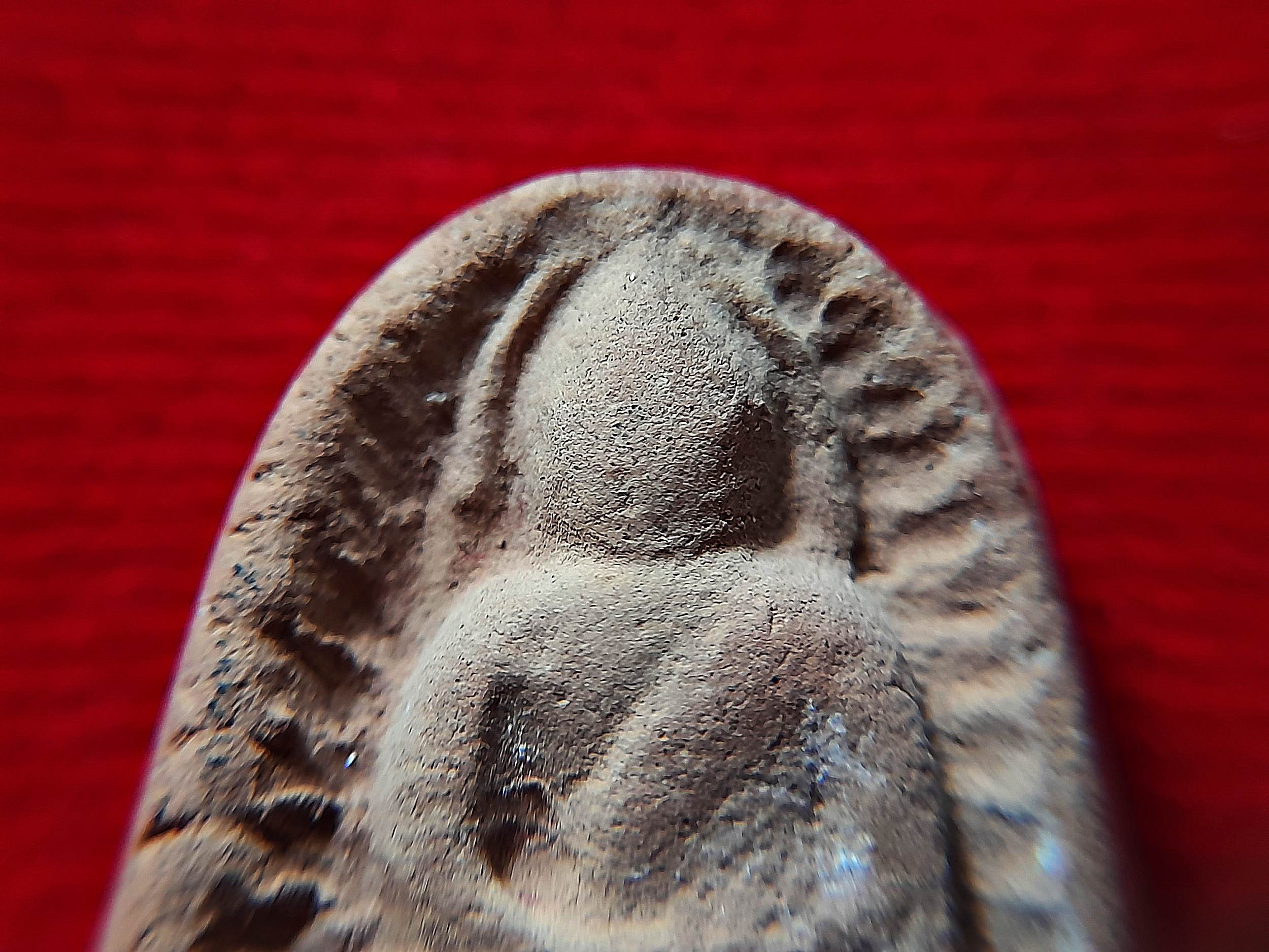 พระซุ้มกอ หลังปั้มโค็ด เนื้อดิน #รับประกันแท้และทัน - หลวงพ่อปี้ วัดด่านลานหอย จ.สุโขทัย