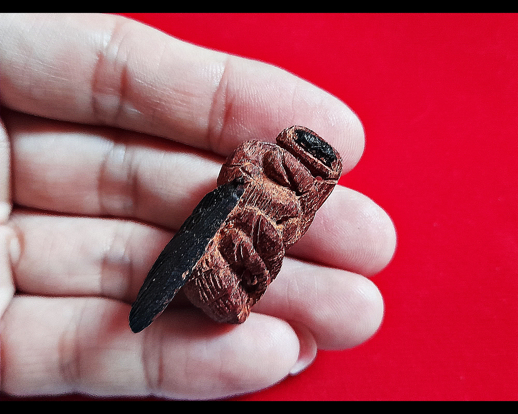 แมลงภู่ (เทพจำแลงอารักษ์) ปีกดำ #ตัวใหญ่ เนื้อไม้ดุมล้อเกวียน (งานแกะทำมือทุกขั้นตอนทีละองค์ ตามสูตรโบราณล้านนา) (ปลุกเสก3พิธี) ปี2564 #รับประกันแท้ - หลวงพ่อเล็ก วัดท่าขนุน #ปลุกเสก3พิธี