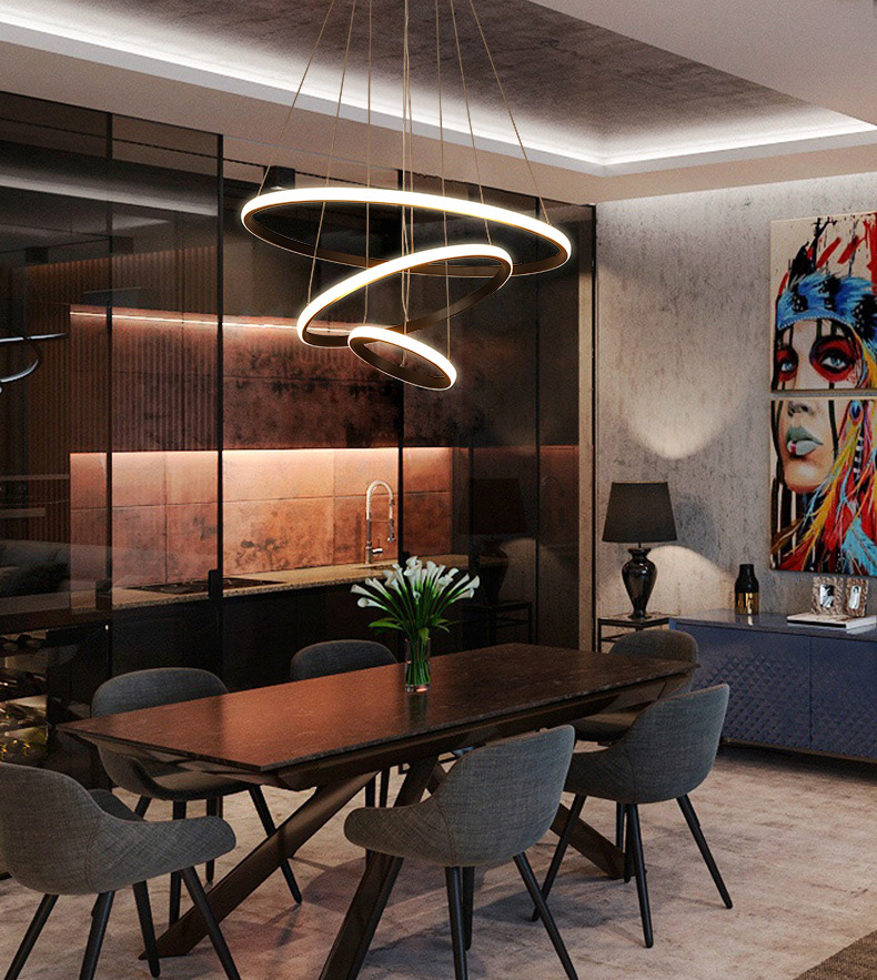 โคมไฟแขวนเพดานทรงวงแหวนกลม LED สไตล์โมเดิร์นปรับเอียงได้ [C-8821]