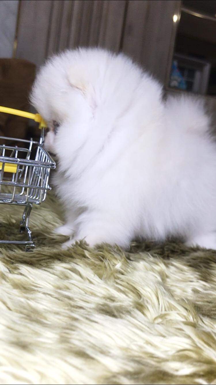 ย้ายบ้านแล้ว ผญ