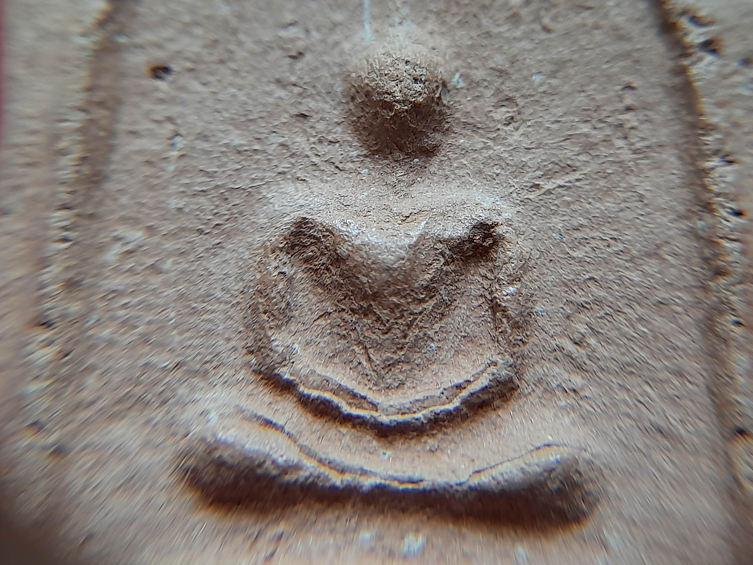 พระสมเด็จ จตุรพิธพรชัย เนื้อดิน ปี 2517-2518 #รับประกันแท้และทันยุค - หลวงพ่อกวย วัดโฆสิตาราม จ.ชัยนาท