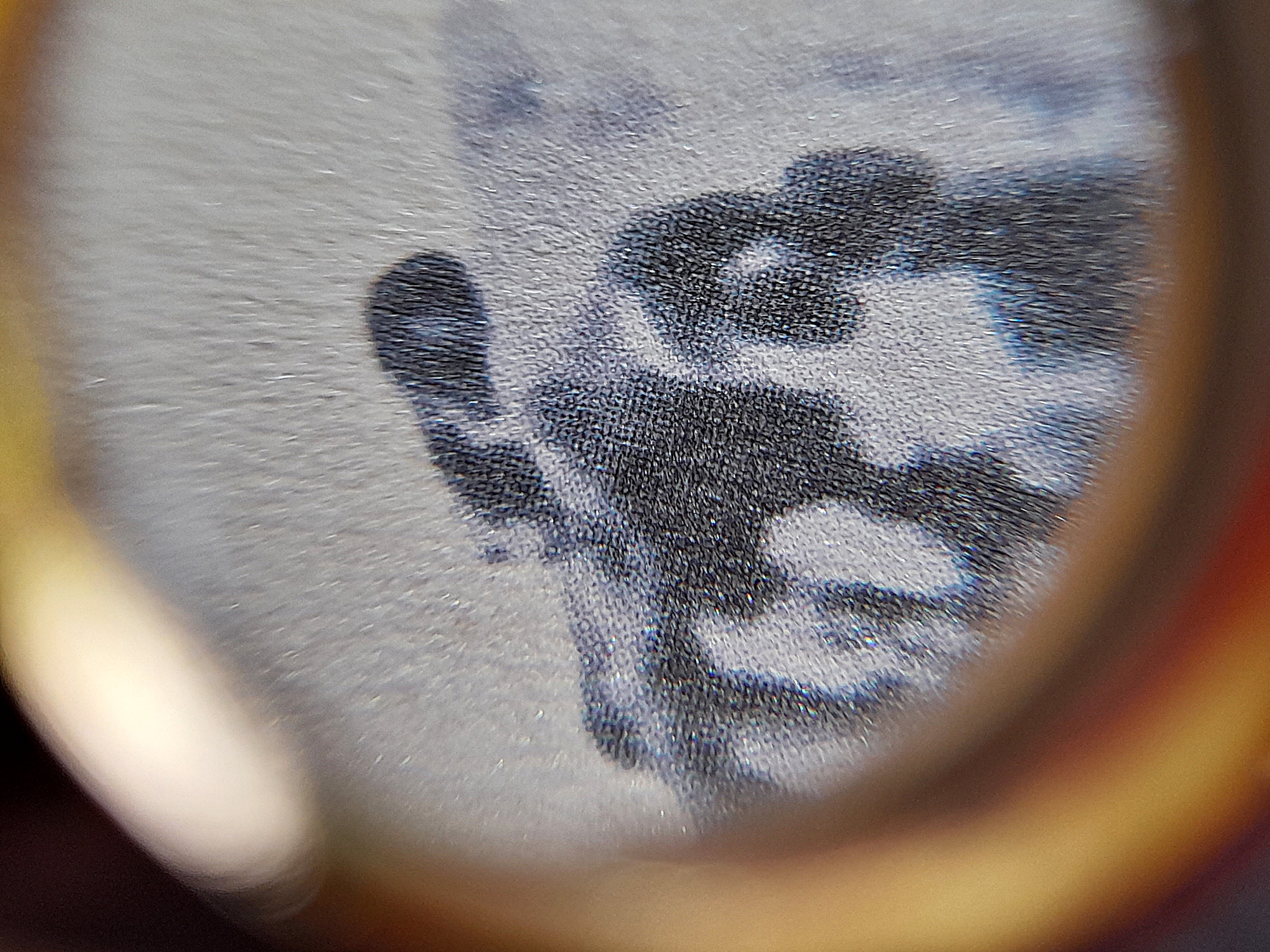 รูปภาพ หลวงปู่เดินหน อิเกสาโร(หลวงปู่เทพโลกอุดร) หลังยันต์ตรีนิสิงเห ปี2560 #รับประกันแท้ - (จัดสร้างโดย ฅนขลัง คลังวิชา)