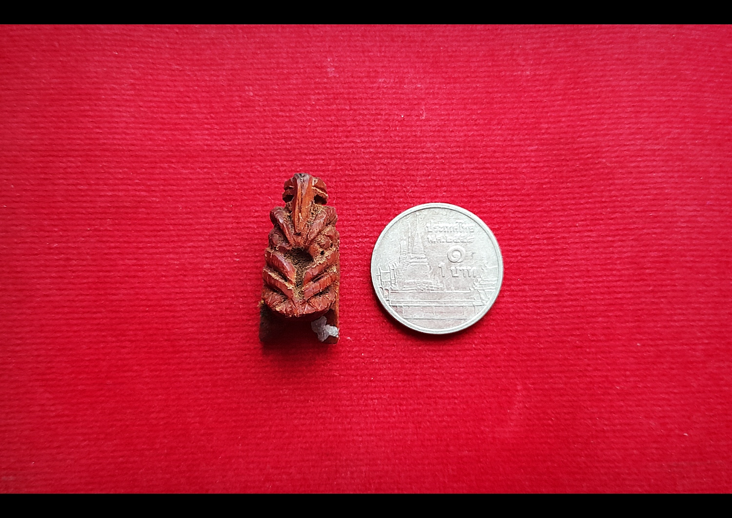 แมลงภู่ (แมงภู่ แมงบู๊) แกะสลัก เนื้อไม้ดุมล้อเกวียน ฝั่งเข็มบรรจุด้วยปรอทป่าแท้ ปี2563 #รับประกันแท้