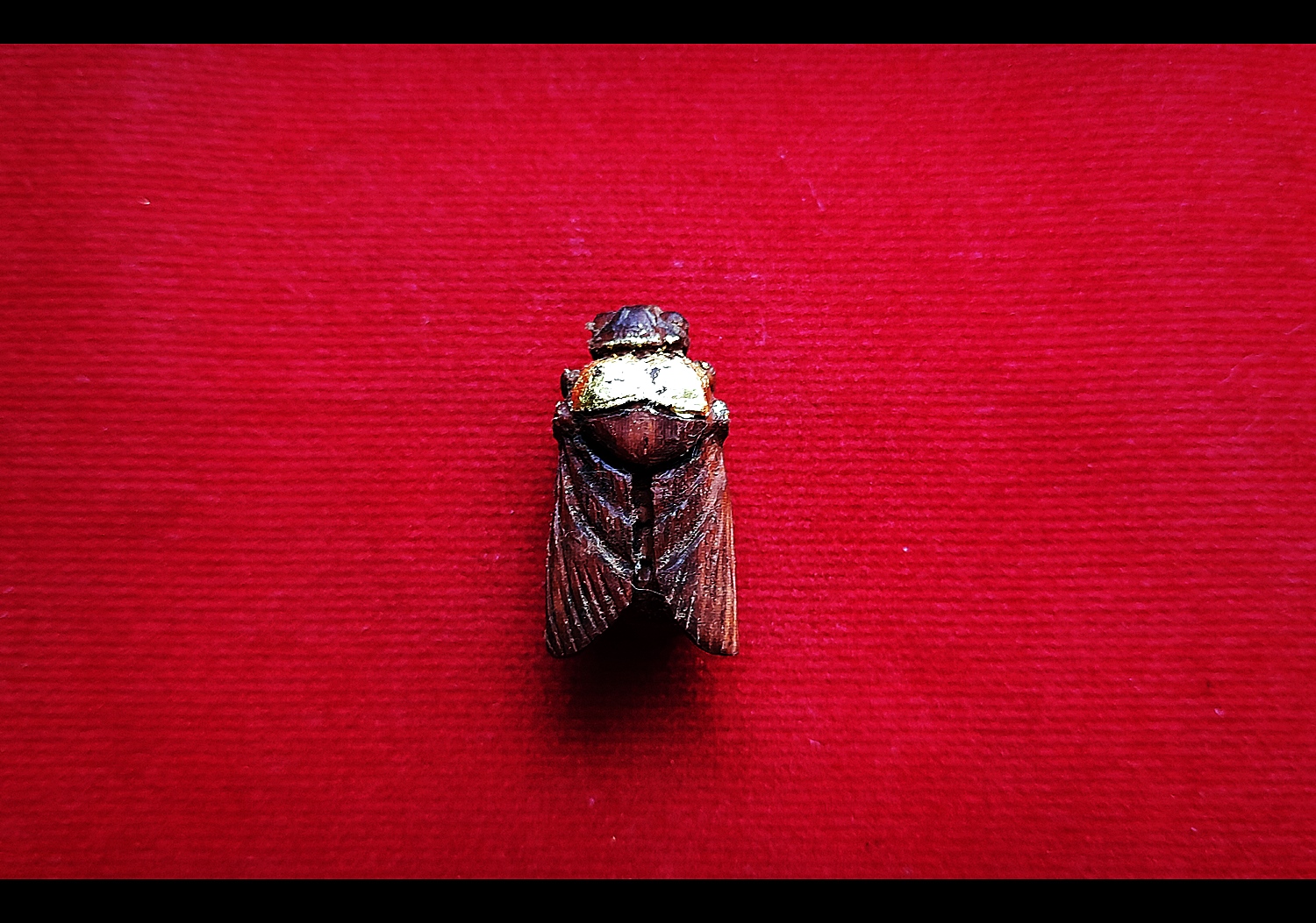 แมลงภู่ (แมงภู่ แมงบู๊) แกะสลัก เนื้อไม้ดุมล้อเกวียน ฝั่งเข็มบรรจุด้วยปรอทป่าแท้ ปี2563 #รับประกันแท้