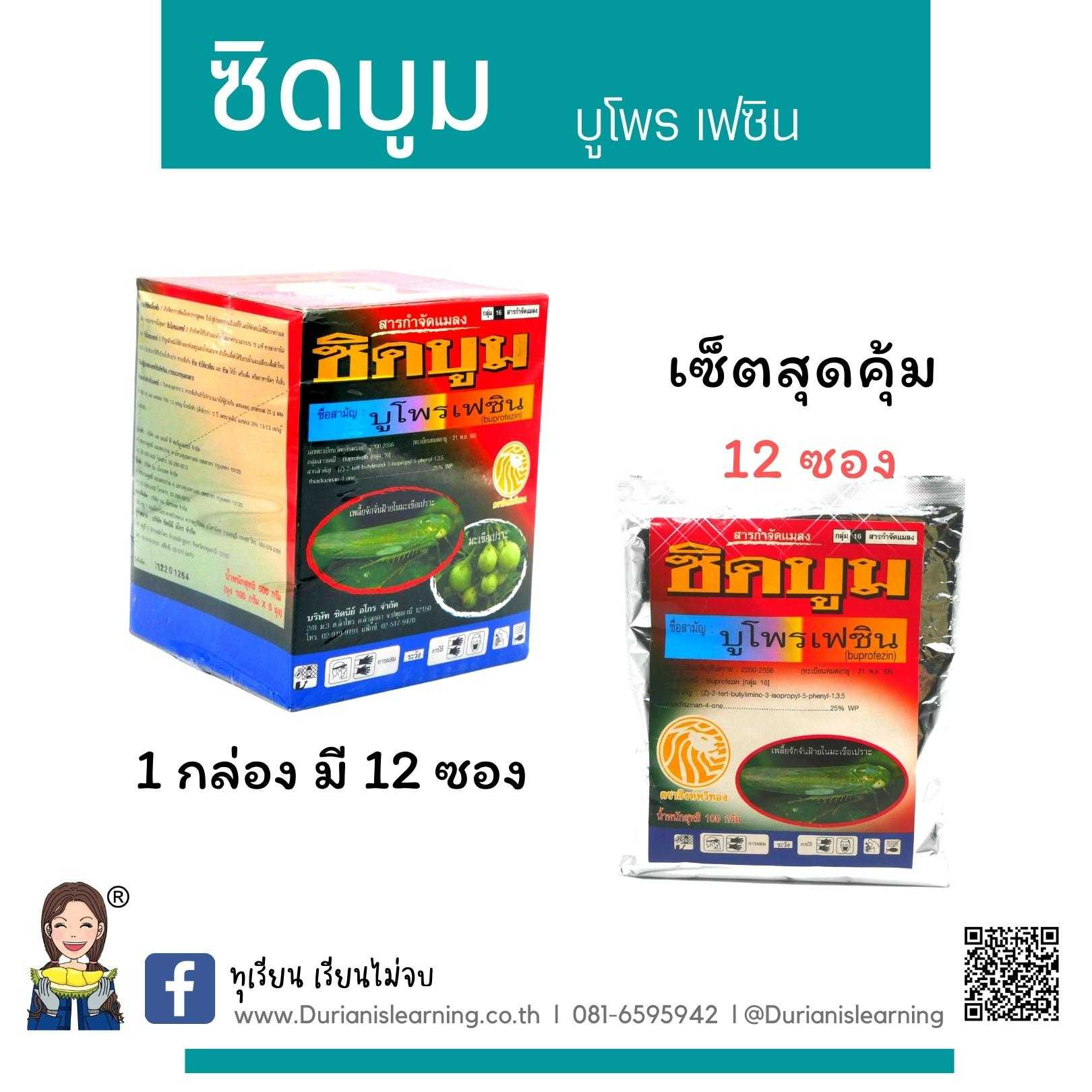 ซิดบูม บูโพรเฟซิน ชนิดผง ขนาด 100 กรัม