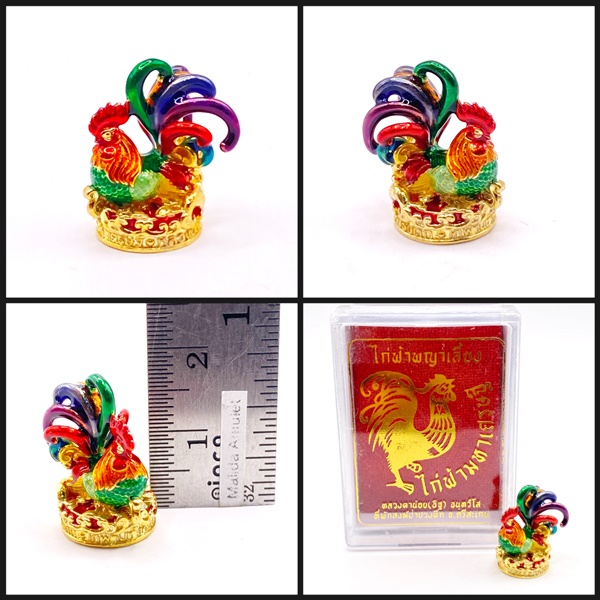 ไก่ฟ้าพญาเลี้ยง ไก่ฟ้ามหาเศรษฐี (เนื้อสัมฤทธิ์ชุบทองลงยาราชาวดี) หลวงตาน้อย สำนักสงฆ์ป่าปวงตึก หลวงปู่ศิลา ( หลวงปู่มหาศิลา)