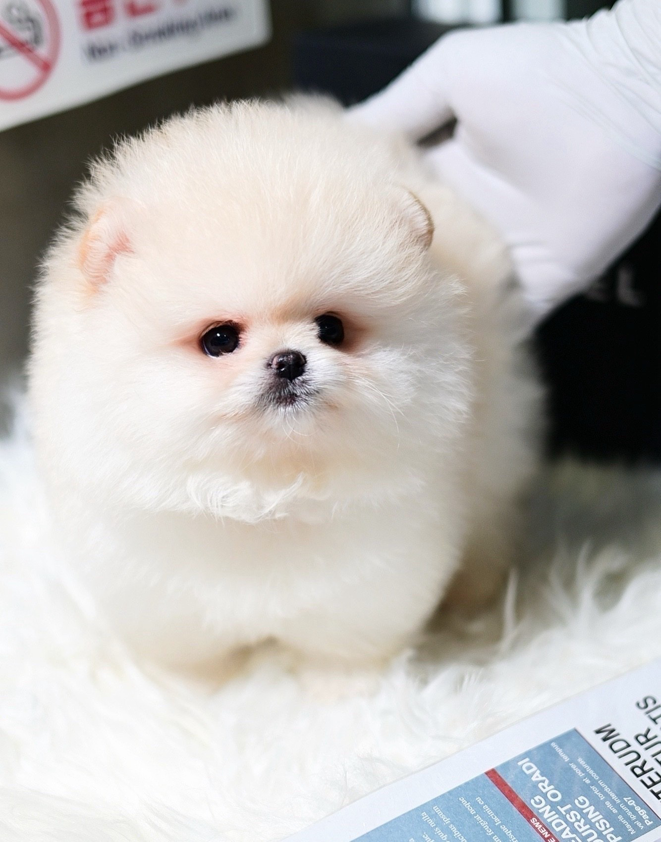 ย้ายบ้านแล้ว
