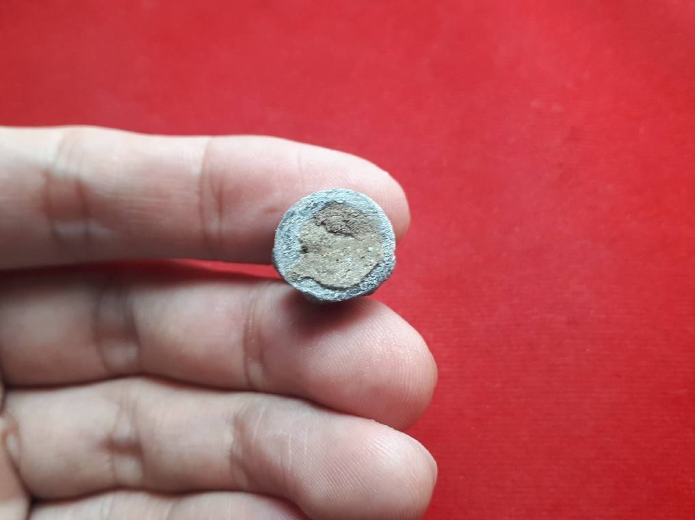 พญานาค เนื้อรวมแร่ - หลวงพ่อหนุน วัดพุทธโมกข์