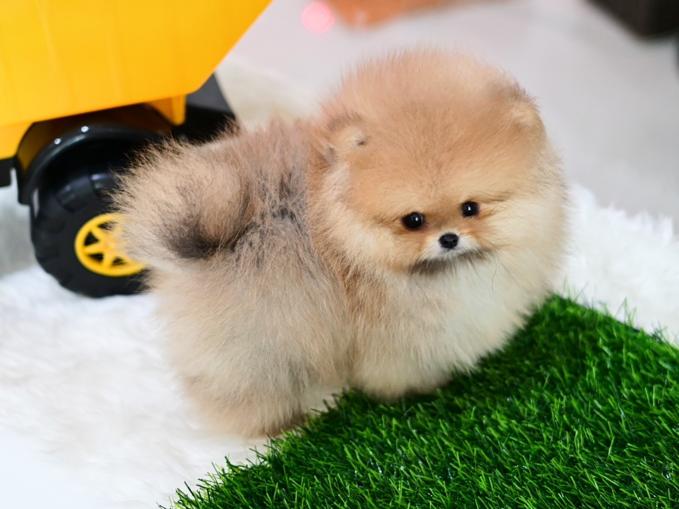 ย้ายบ้านแล้ว