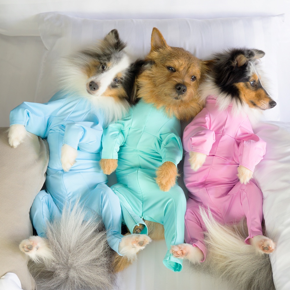 CH2 CHUBBIES Gelato pastel UPF 50+ Onesies ชุดกันขนร่วงสัตวเลี้ยง เสื้อสุนัขในบ้าน ในรถ กันขนร่วงหมา ป้องกันเลียแผล