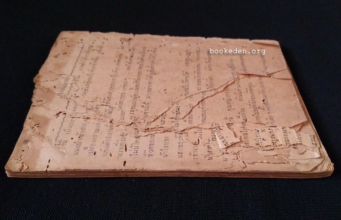 นางแมวป่า เล่มจบ **หนังสือชำรุด