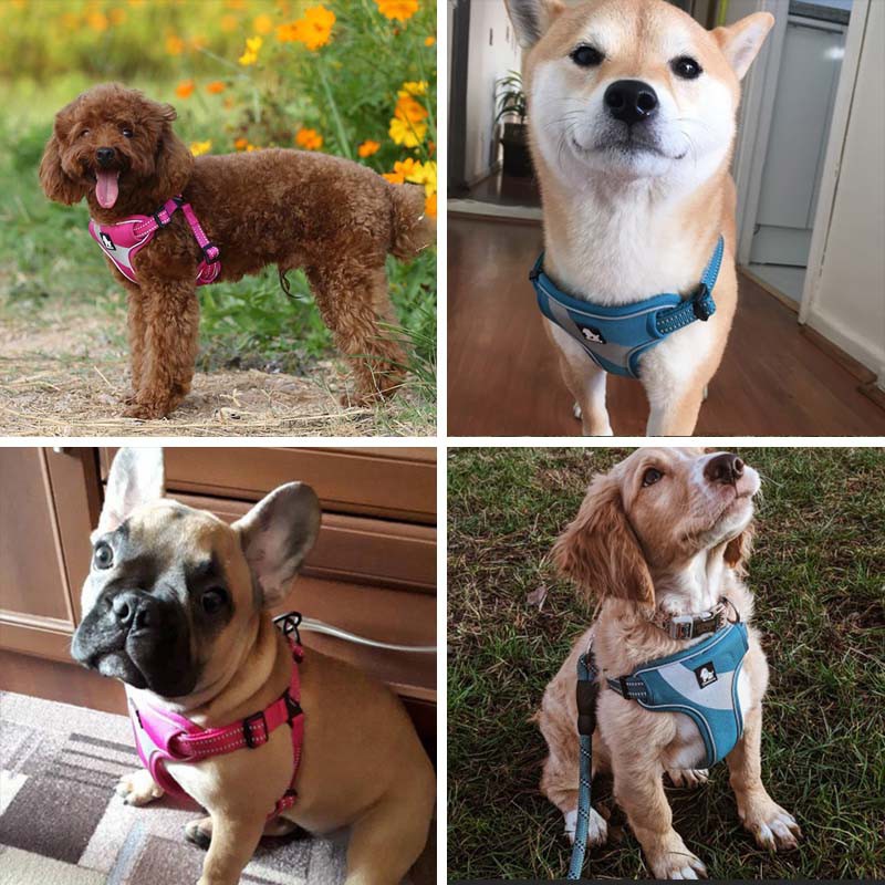 C126 TRUELOVE TH Pet Harness Reflector ปลอกคอรัดอกสุนัขสะท้อนแสง ป้องกันอันตรายจากการกระชาก ฮาเนสสุนัขแบบรัดอก