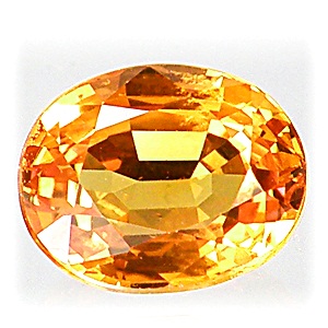 พลอยเนื้อแข็ง Yellow Sapphire รูปไข่ หนัก 2.02 กะรัต ขนาด 6.06x7.62x4.42 มิล สีเหลืองความสะอาดมองตาเปล่า 98%-99% ส่องด้วยกล้องขยายสะอาด 95%